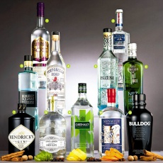 FREE GIN NIGHT FREE GIN NIGHT